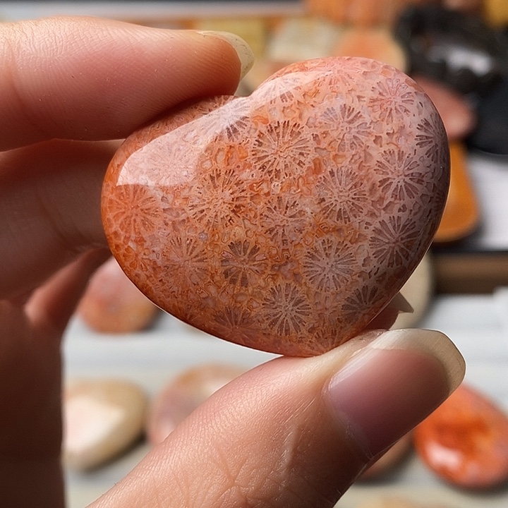 C***B硅化珊瑚未镶嵌颈饰