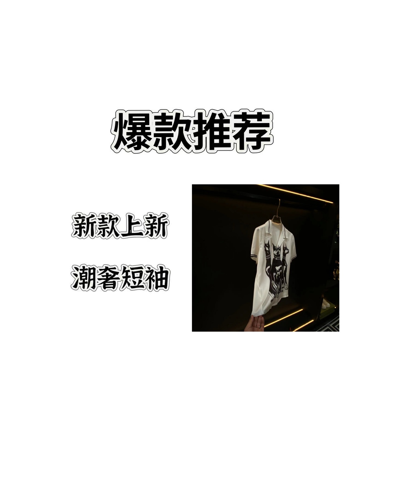 【DJ】杜宾犬2025夏季新款轻奢风格时尚短裤短袖两件套18805