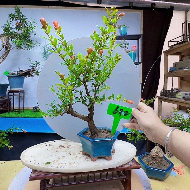 生**虎而干活好饿退