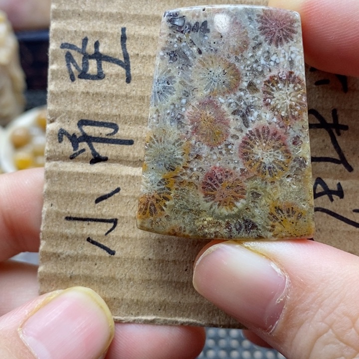 硅化珊瑚（珊瑚玉）颈饰未镶嵌