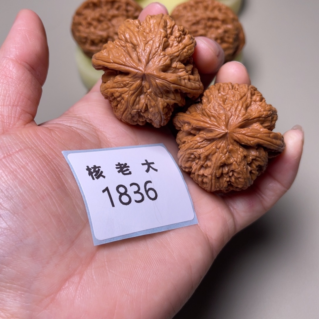 把件文玩核桃大粗筋1836