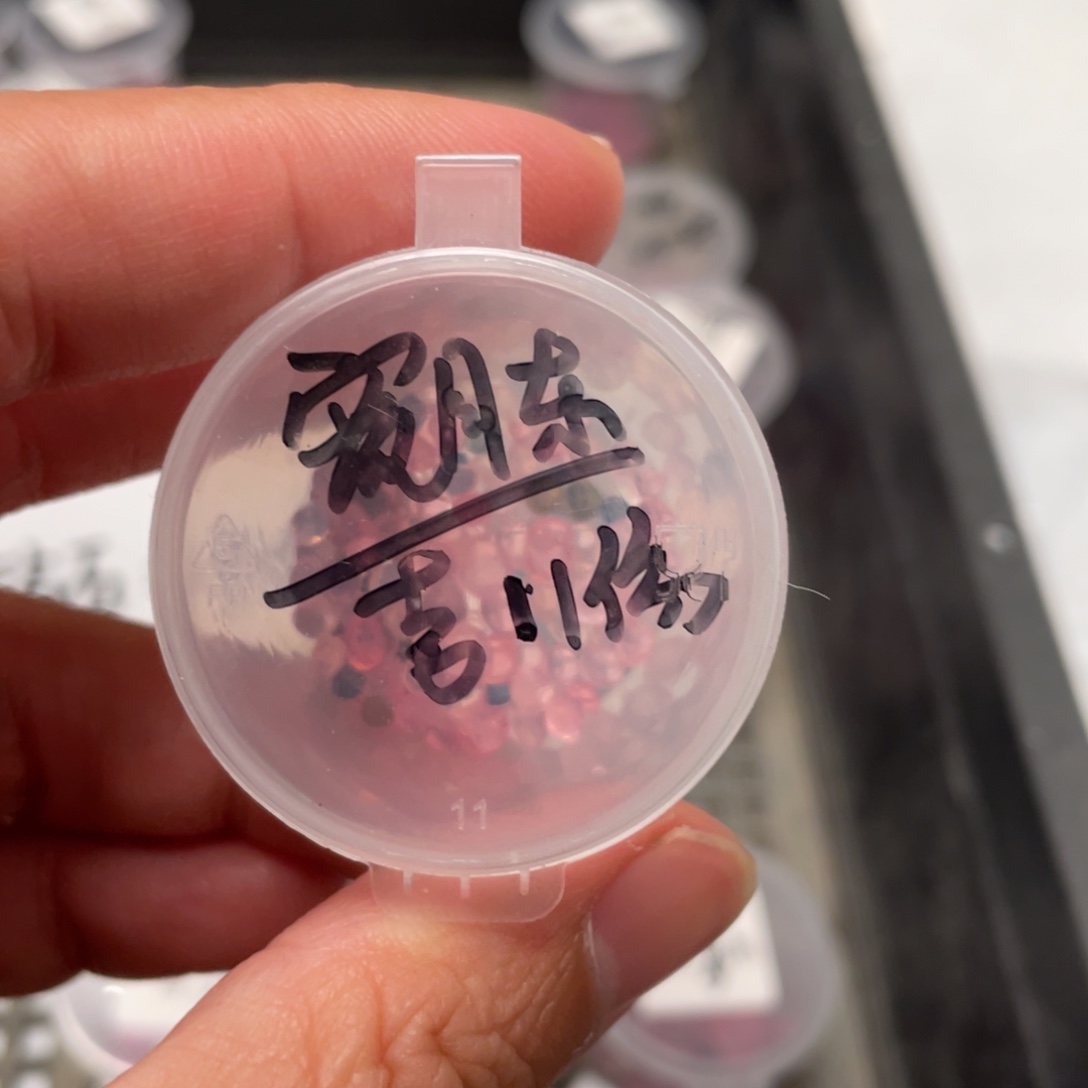 宽叶月东✖️吉娃娃20粒