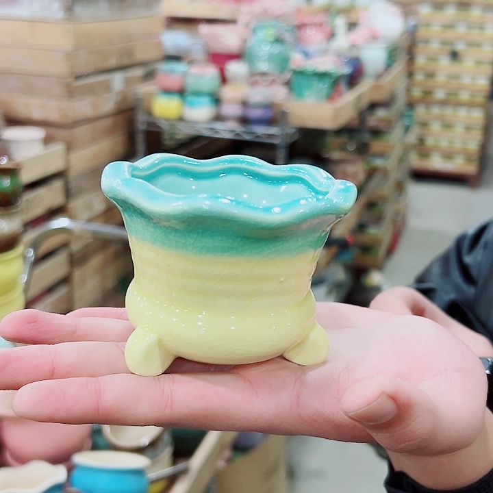 花盆有孔！凑满10米包由！