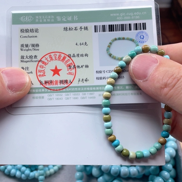 绿松石颈饰未镶嵌