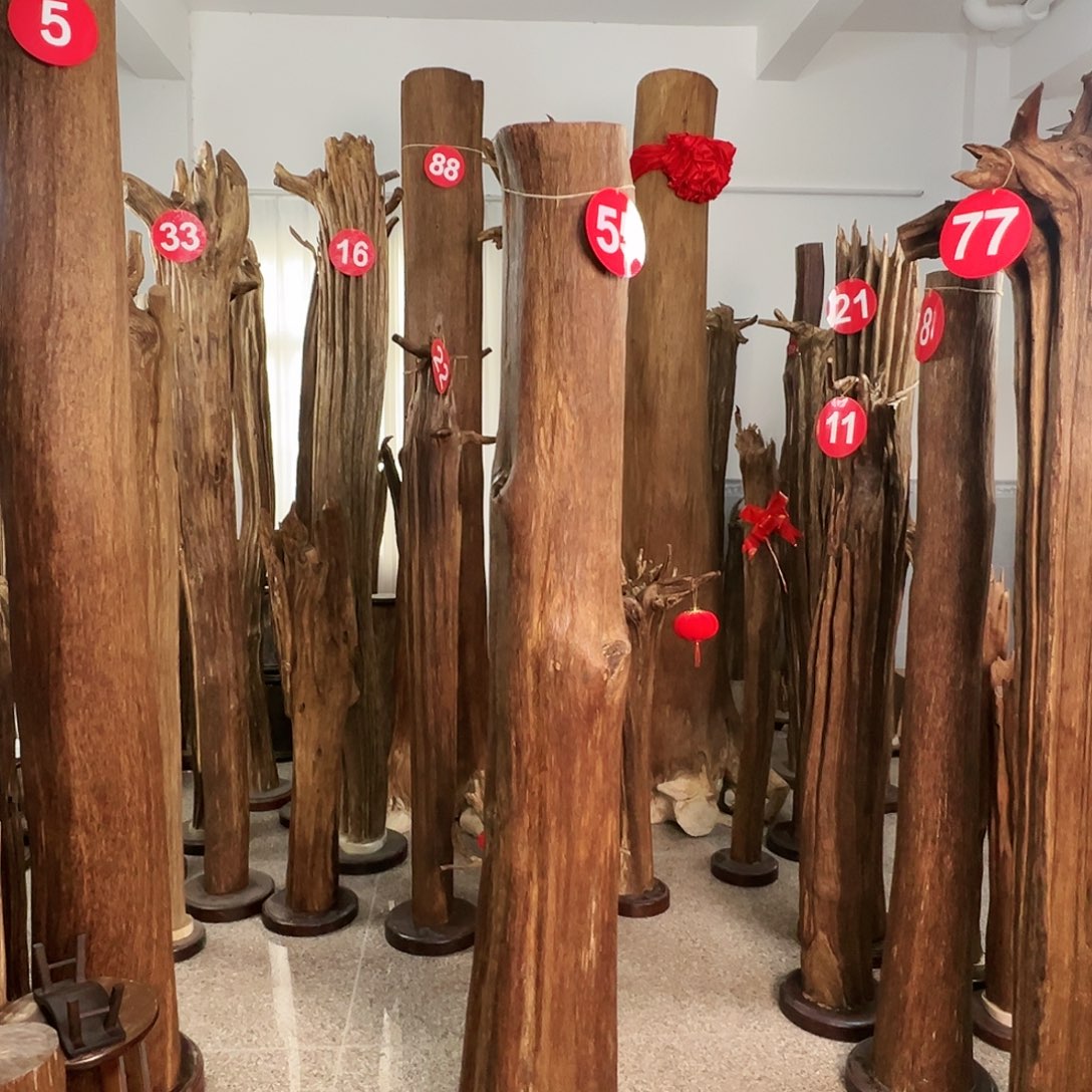 车***王沉香摆件沉香原料H