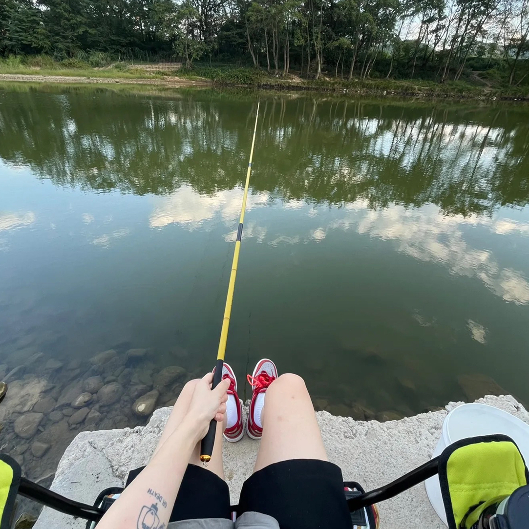 鲢鳙竿 大综合 鲫鱼竿 小综合  黑坑竿