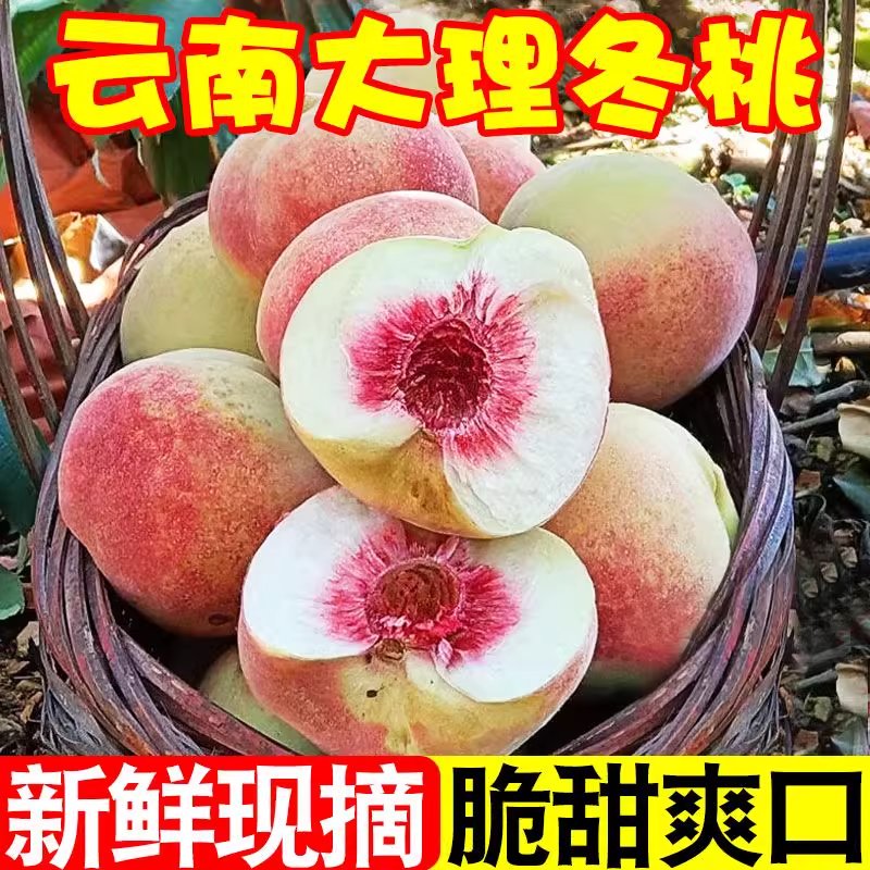 【现摘现发】正宗云南冬桃新鲜应季水果脆甜爽口丑桃子水蜜桃毛桃