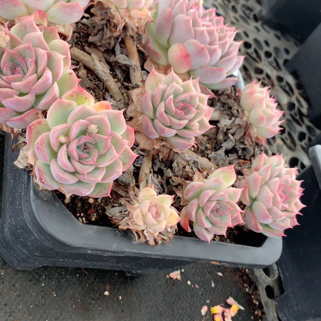 不****调8975不包整散掉头特价处理