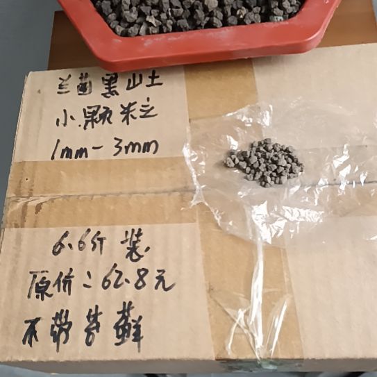 俩***窝兰菌黑山土小颗粒6.6