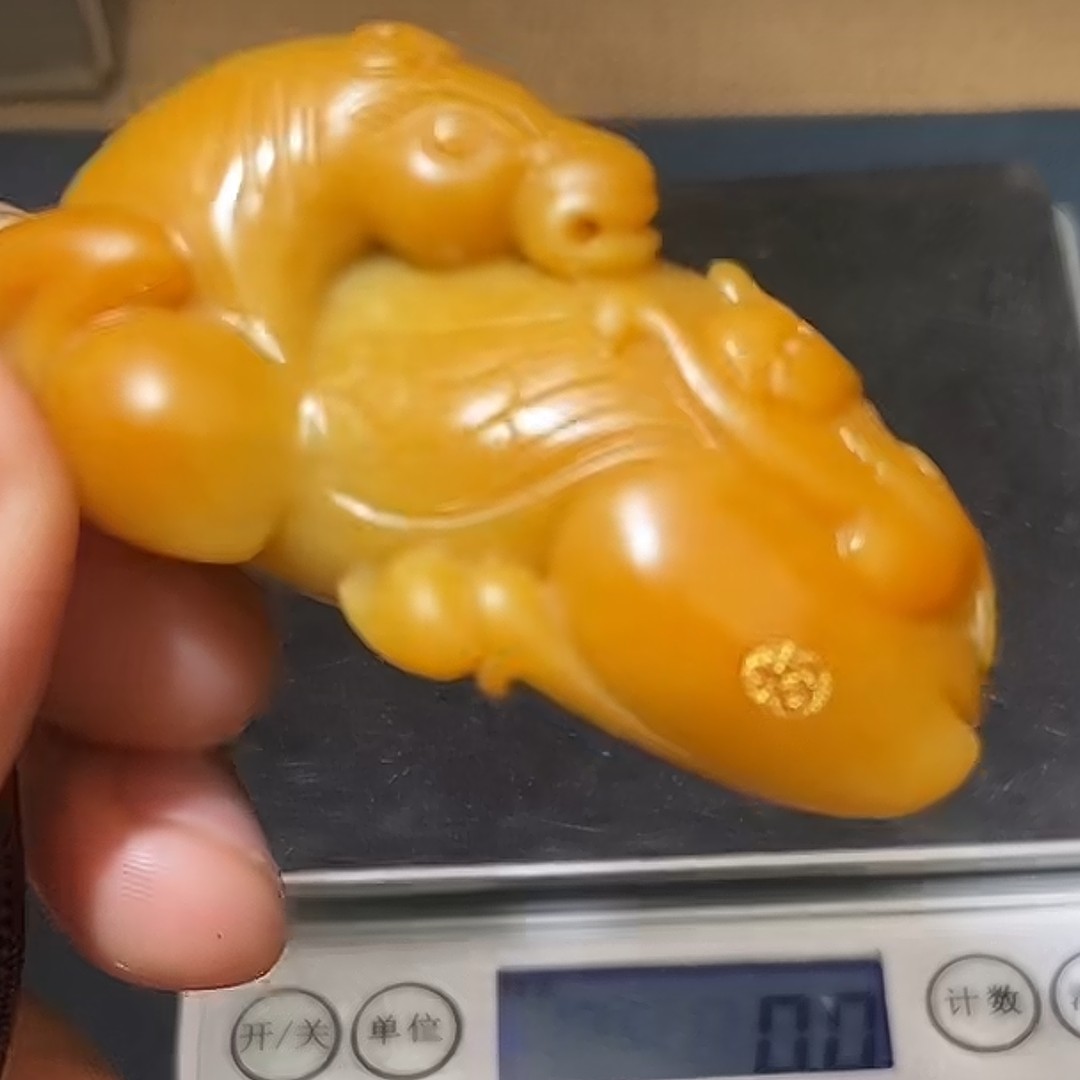 千里马9.21HX多样性拍一发一