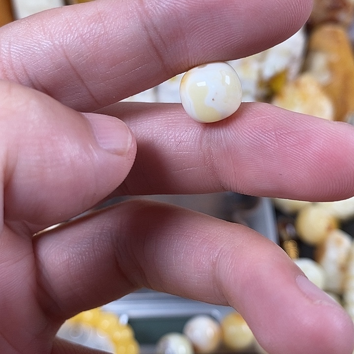 裸石琥珀未镶嵌我