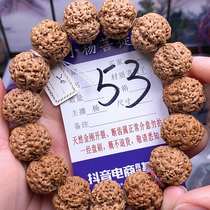 手串金刚菩提20双龙