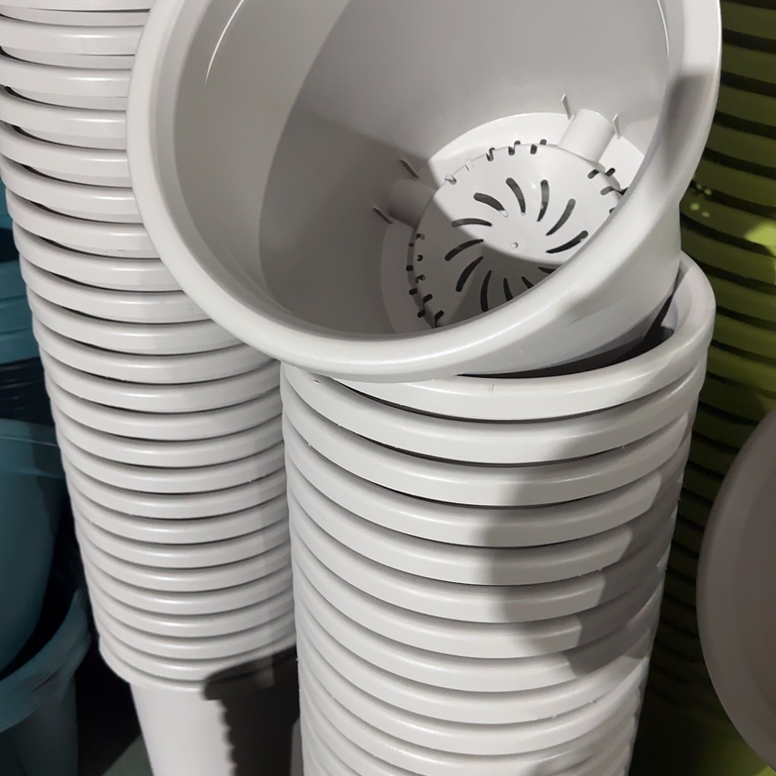 树脂四季7号无托6个灰白微瑕