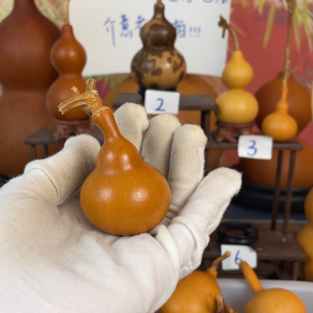 有机玻璃遥****初葫芦