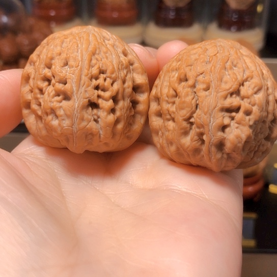 地****工精品球体：粗筋御尊