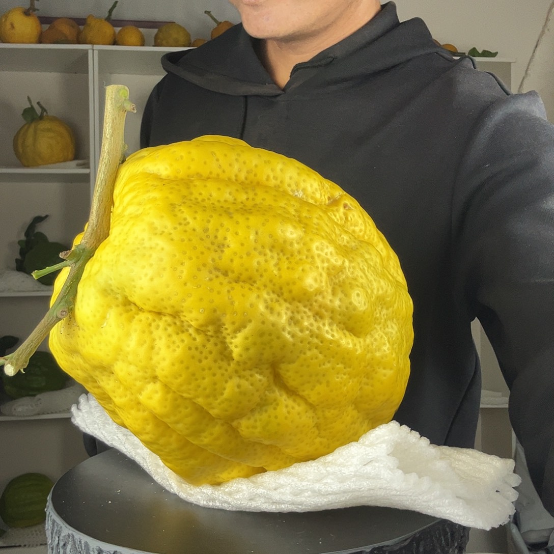 沈***F香水柠檬 云南高山大香橼