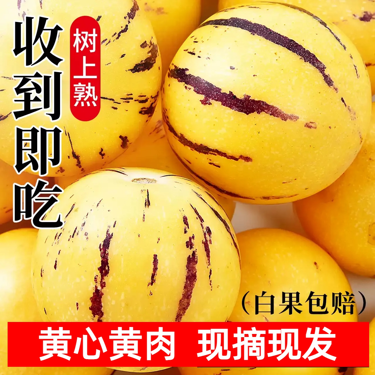 2025云南石林人参果新鲜应季树上熟黄心果清甜多汁