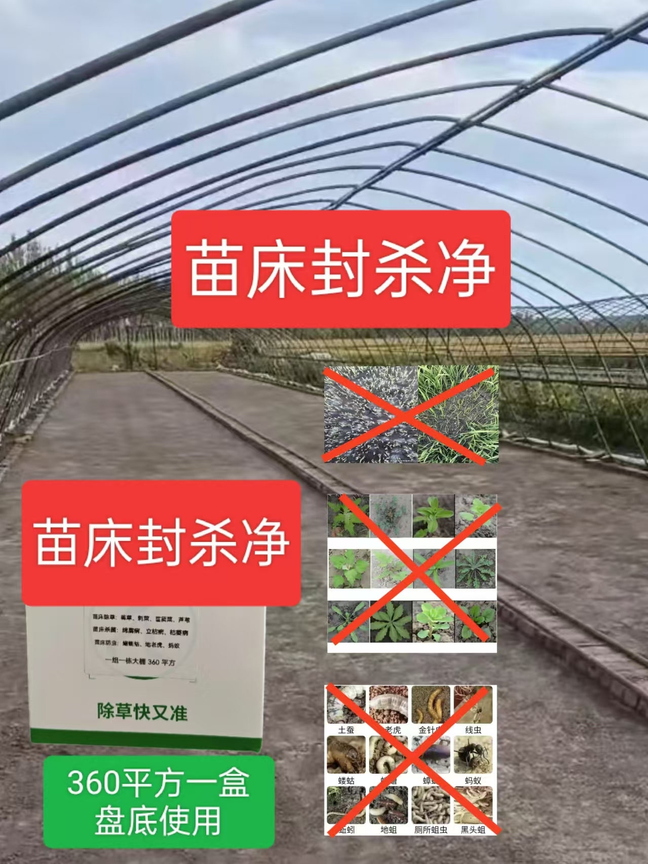 水稻苗床封杀净盘底使用一盒喷360平方