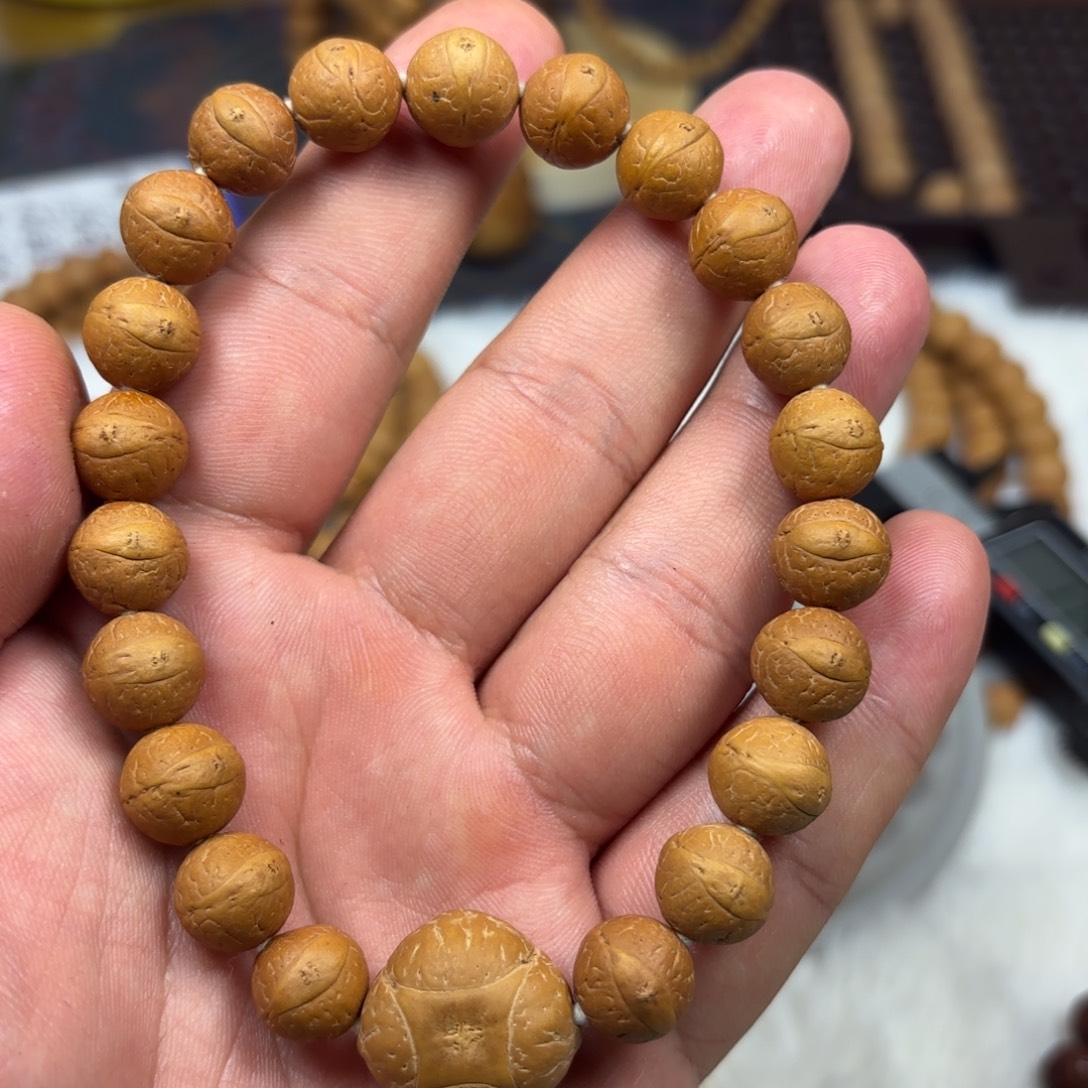 吊坠凤眼菩提11尺寸凤眼菩提