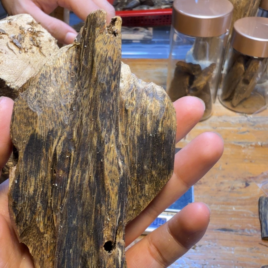 沉香块料沉香块料53克