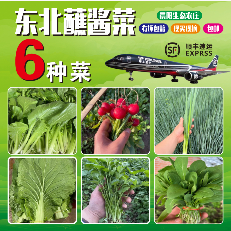 晨阳家东北蘸酱菜组合6种菜（顺丰空运）赠香其酱一袋