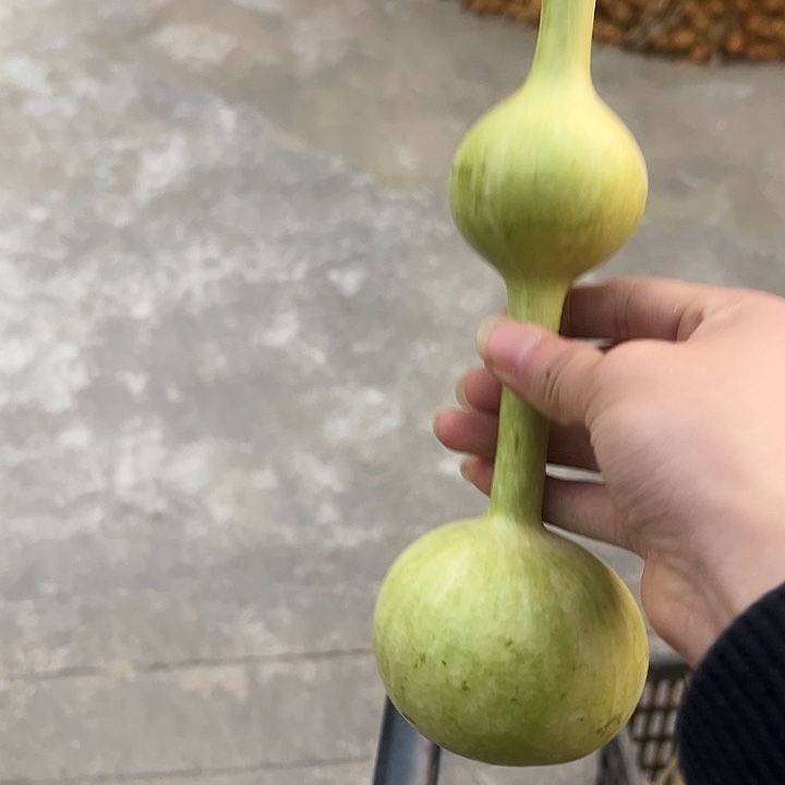 巜***修泥塑三庭文玩葫芦摆件青皮不退不包