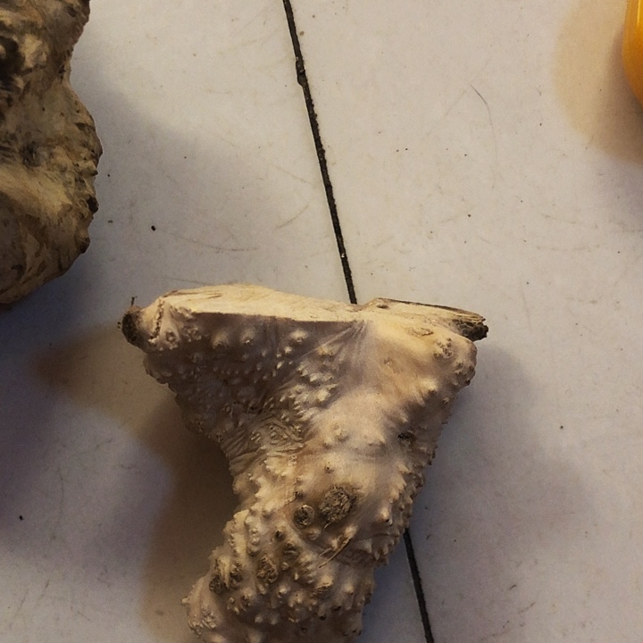 伴***居木木料努力哦我扣扣了