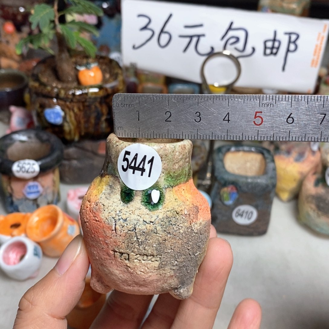 家****8拍3送一个小礼物