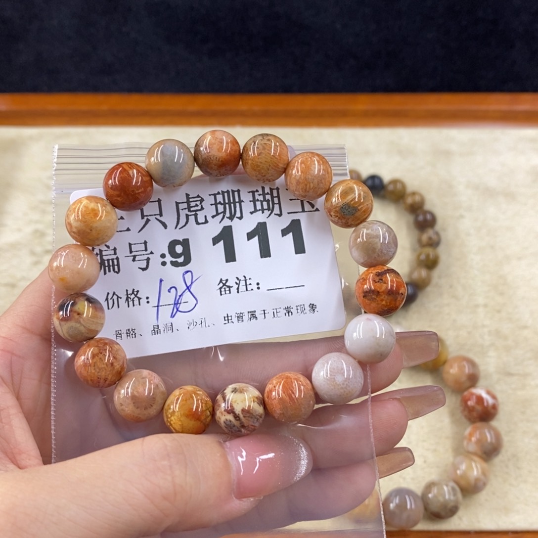 硅化珊瑚（珊瑚玉）未镶嵌1M**o