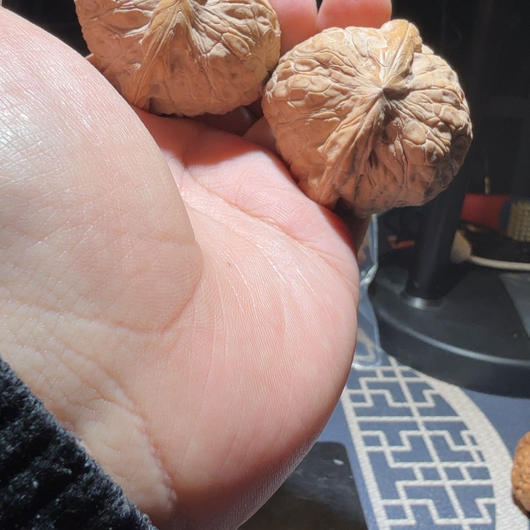 文玩核桃把件南瓜