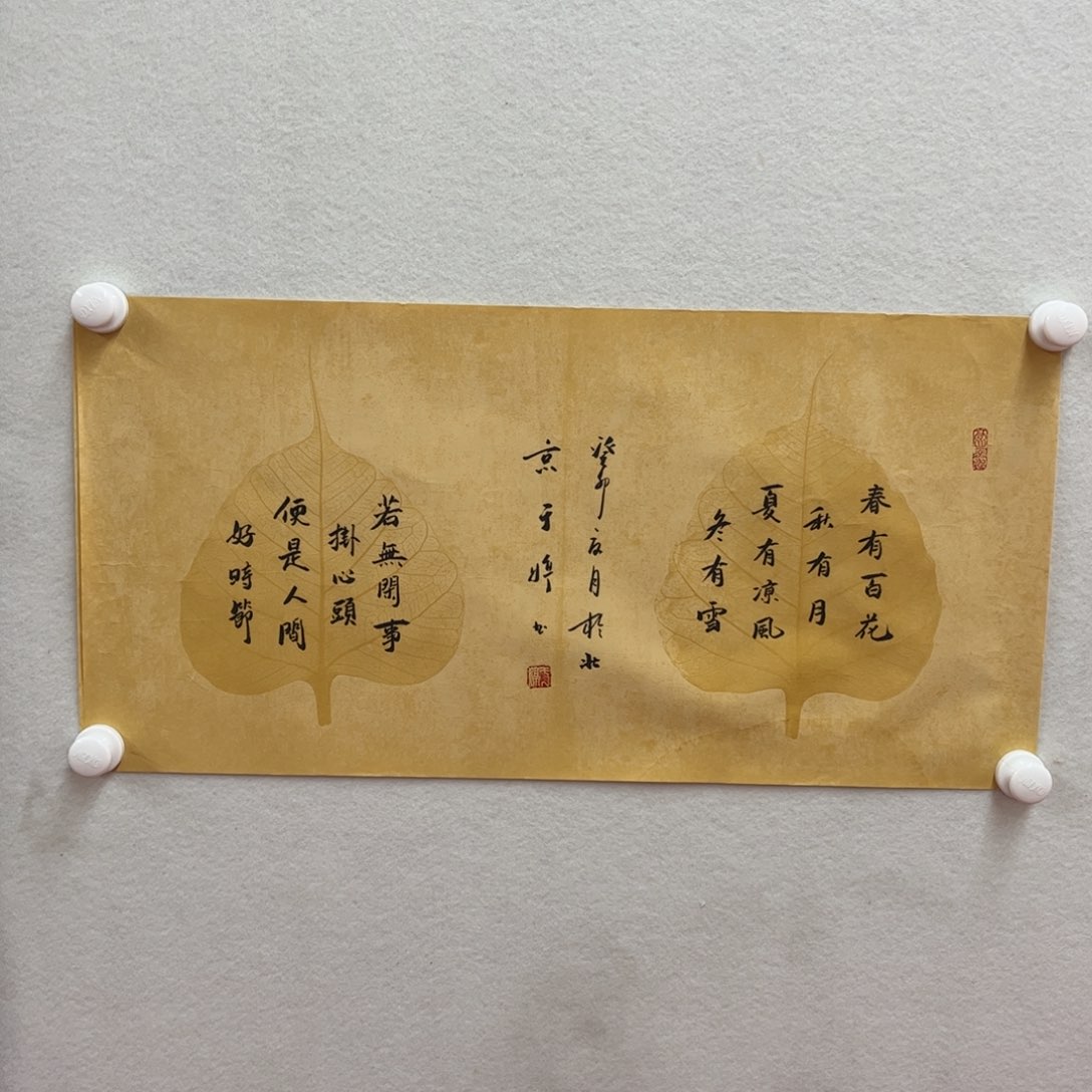 书法于婷老师作品