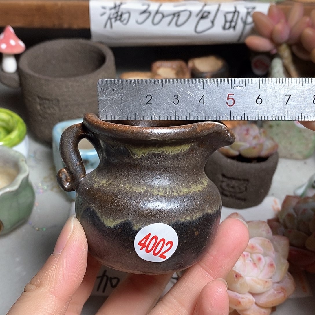 红陶拍5送一个小