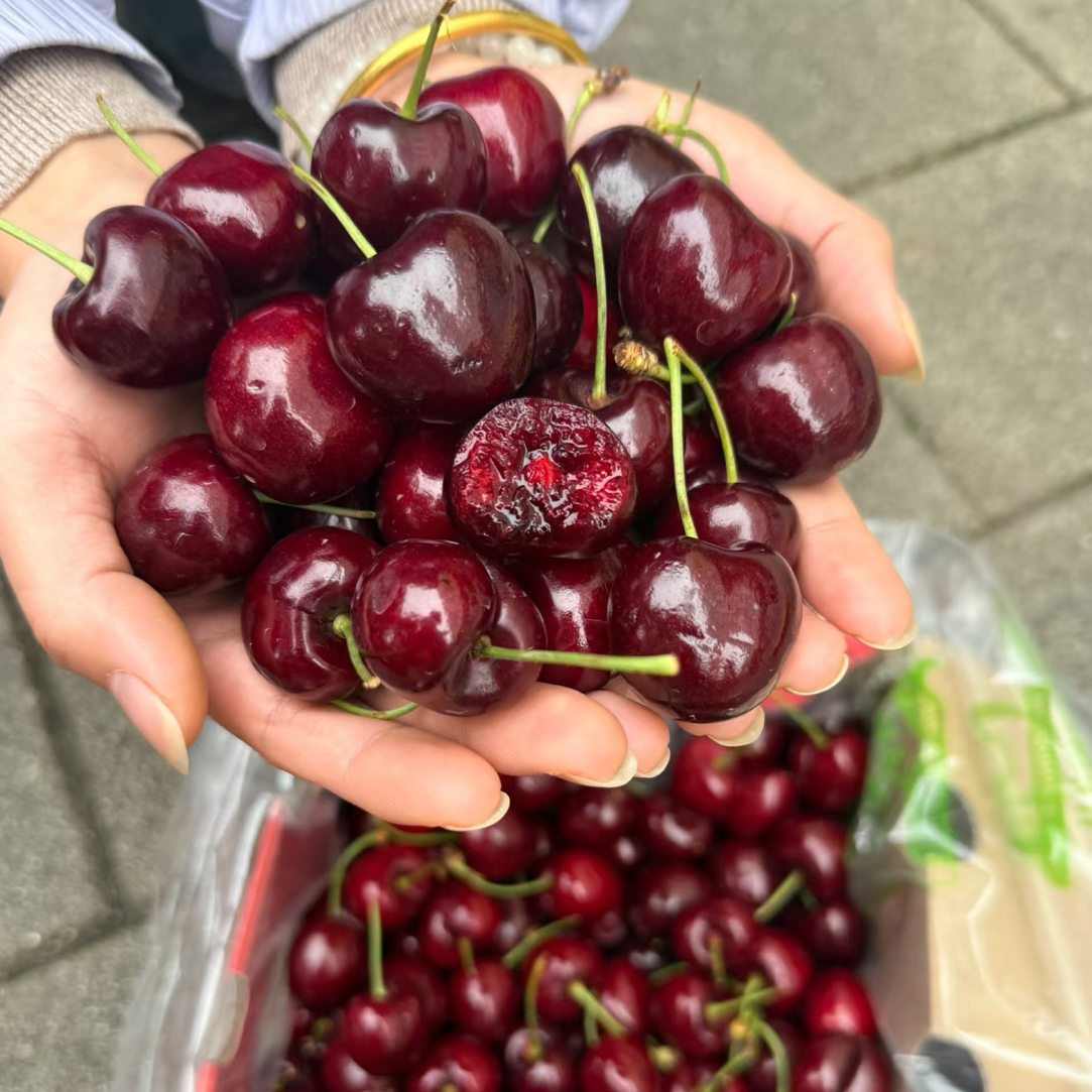 都乐空运车厘子3JD五斤2500g（内附果径卡）其他品种美国