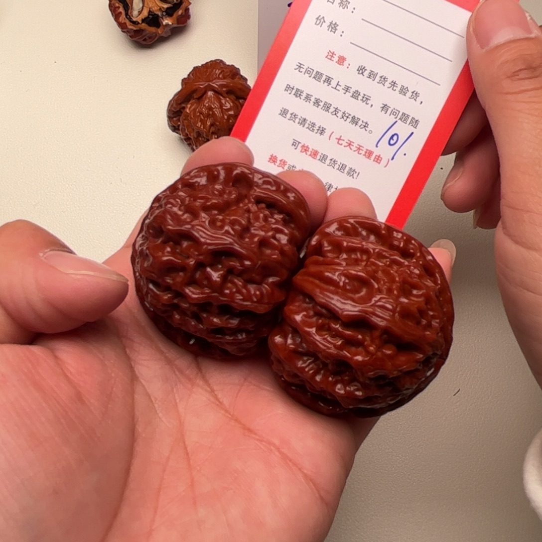 101。40尺。   白狮子