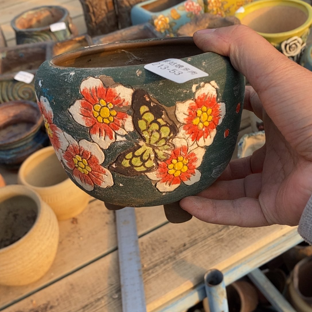 红陶谁****钱53号多肉盆一个呀