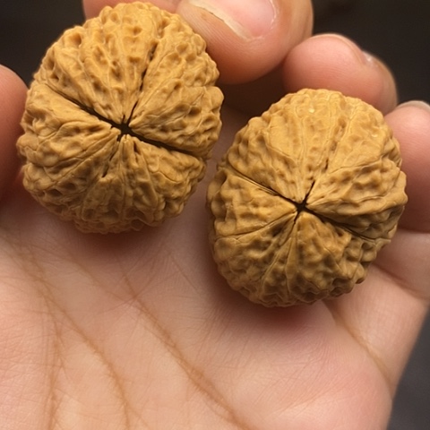 文玩核桃把件35尺高39