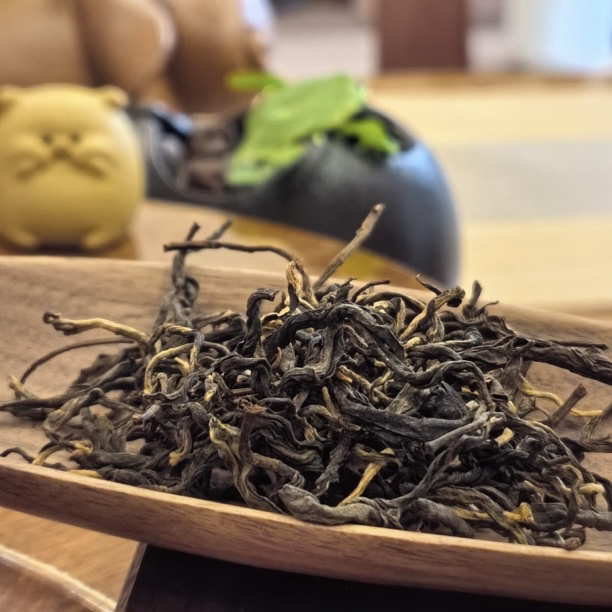 【2024年春茶】昔归古树红茶（晒红）100g散茶装