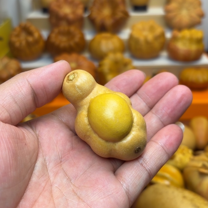 特价福利不退不换