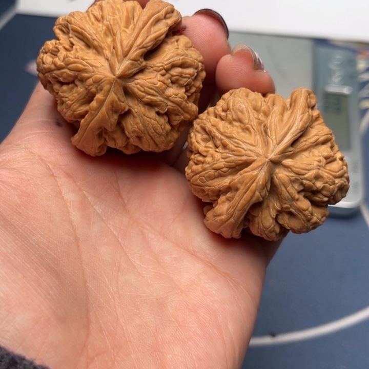 文玩核桃把件粗筋43