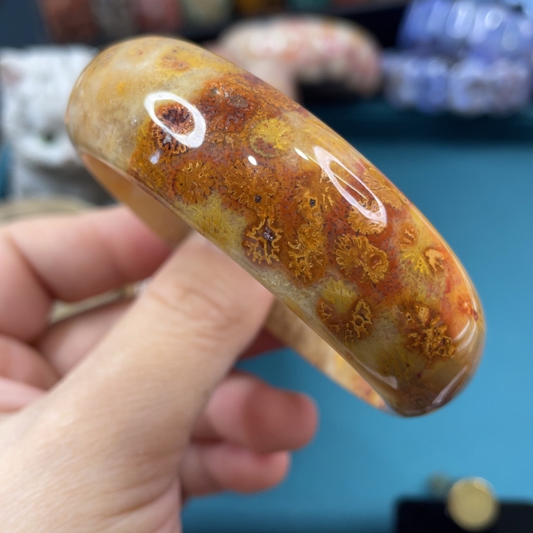未镶嵌手镯硅化玉
