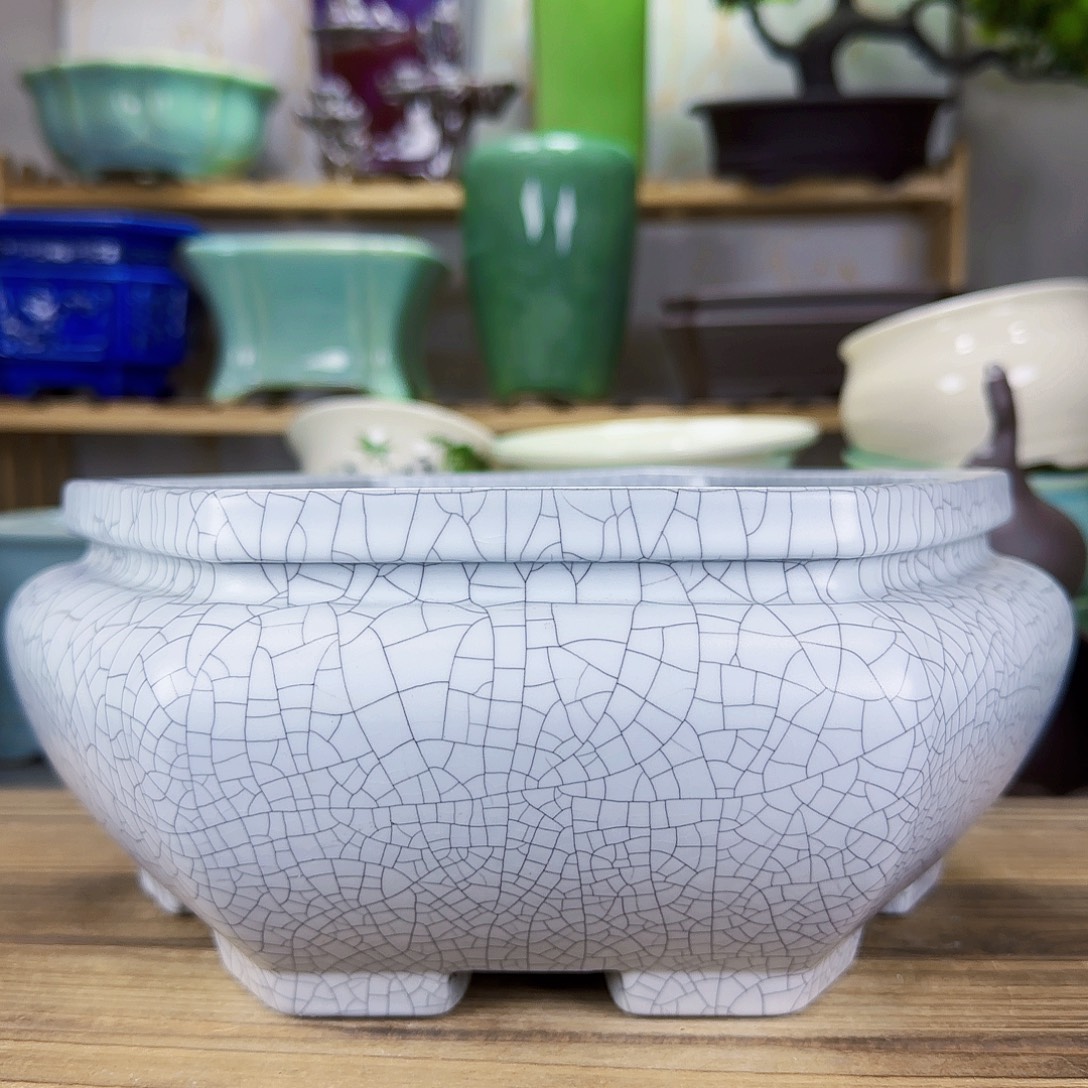 陶瓷花盆特价上新