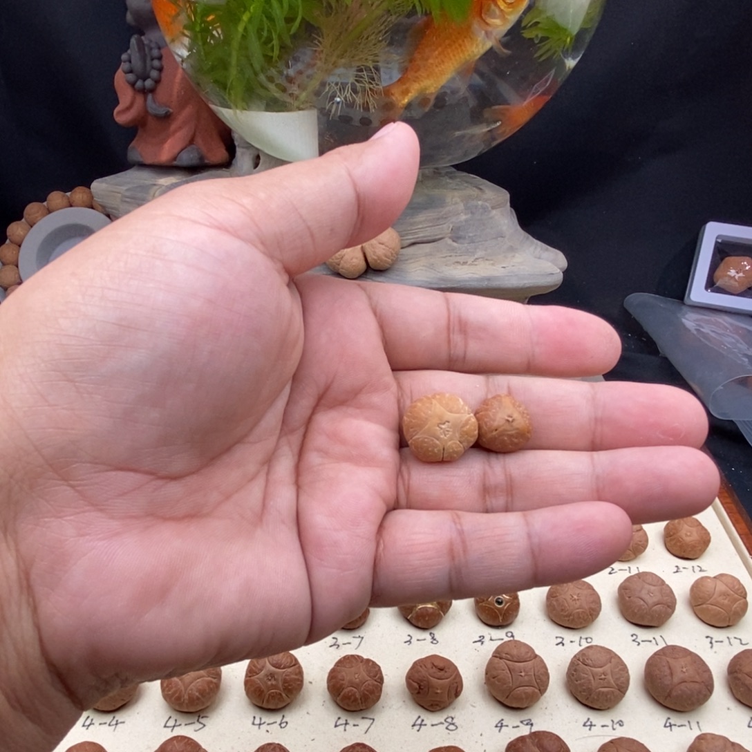 只***买凤眼菩提吊坠福袋