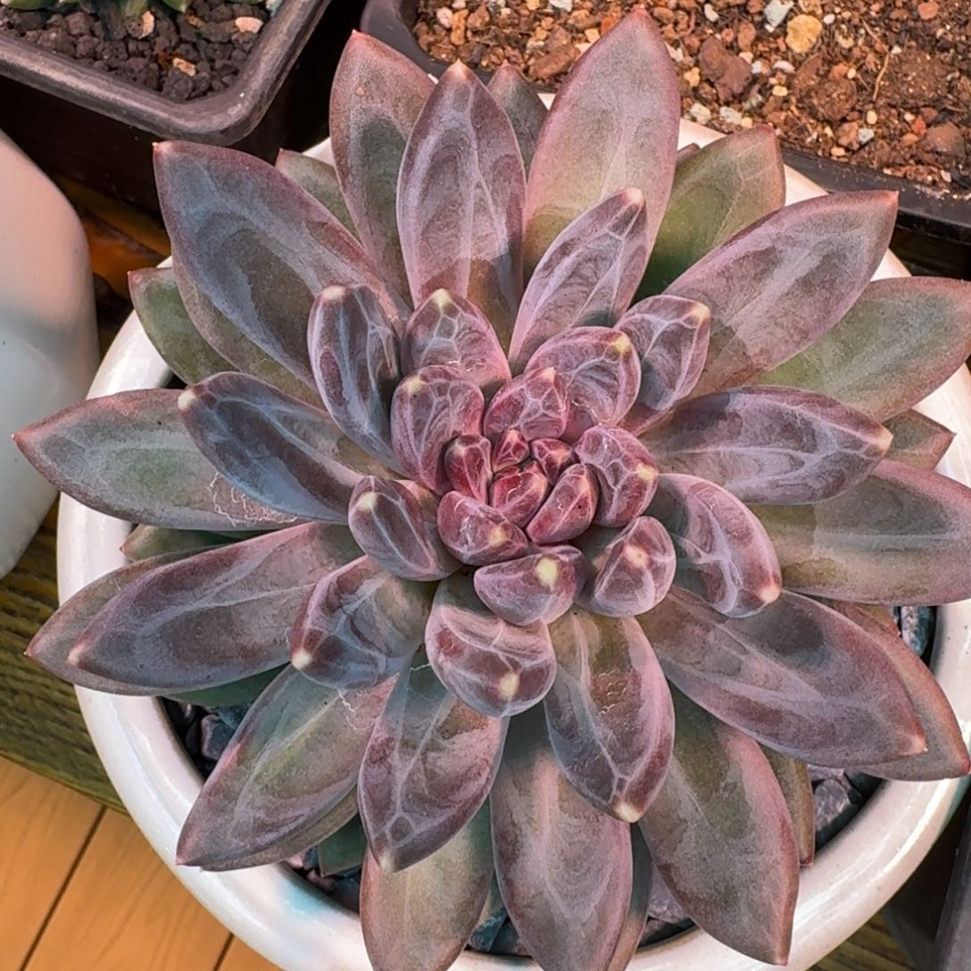 啊啊啊啊啊啊啊啊啊啊啊