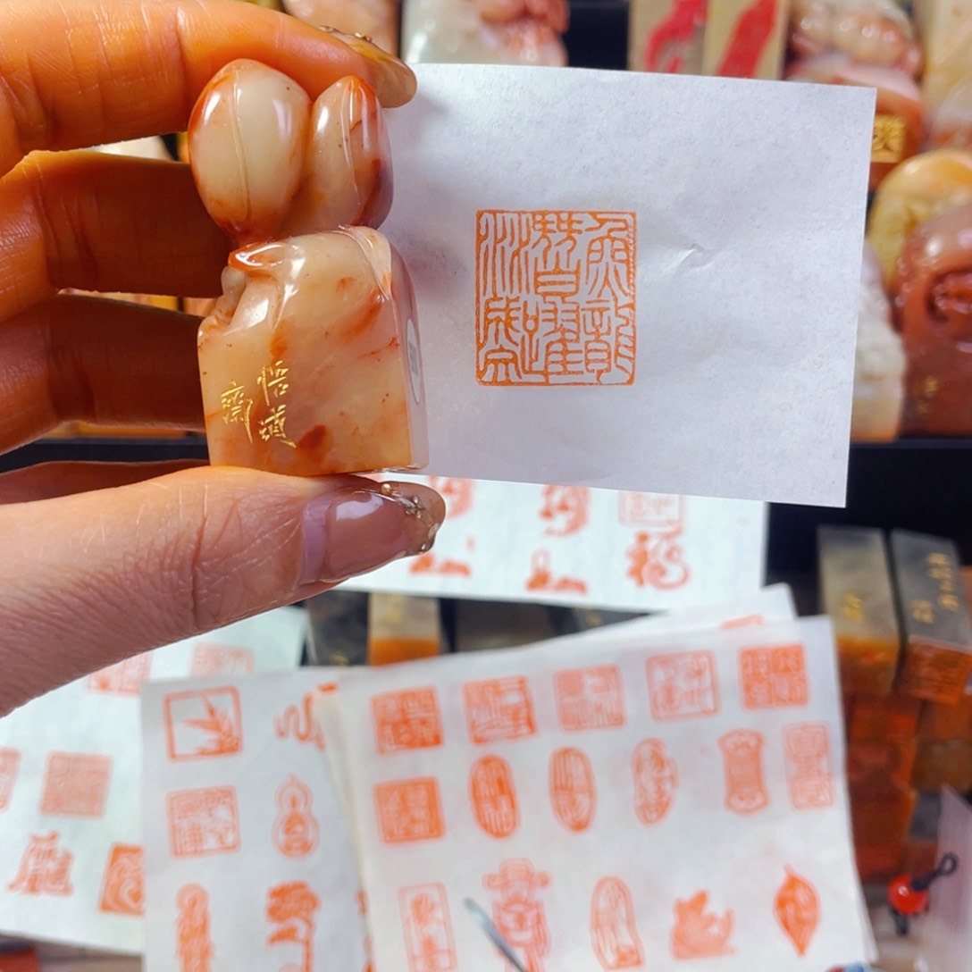 老挝石印石鱼龙浅跃水成文