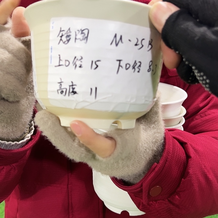 正品矮陶口15高11白色无托10只