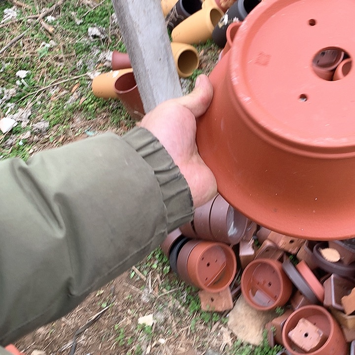 紫砂我要和你们在一起