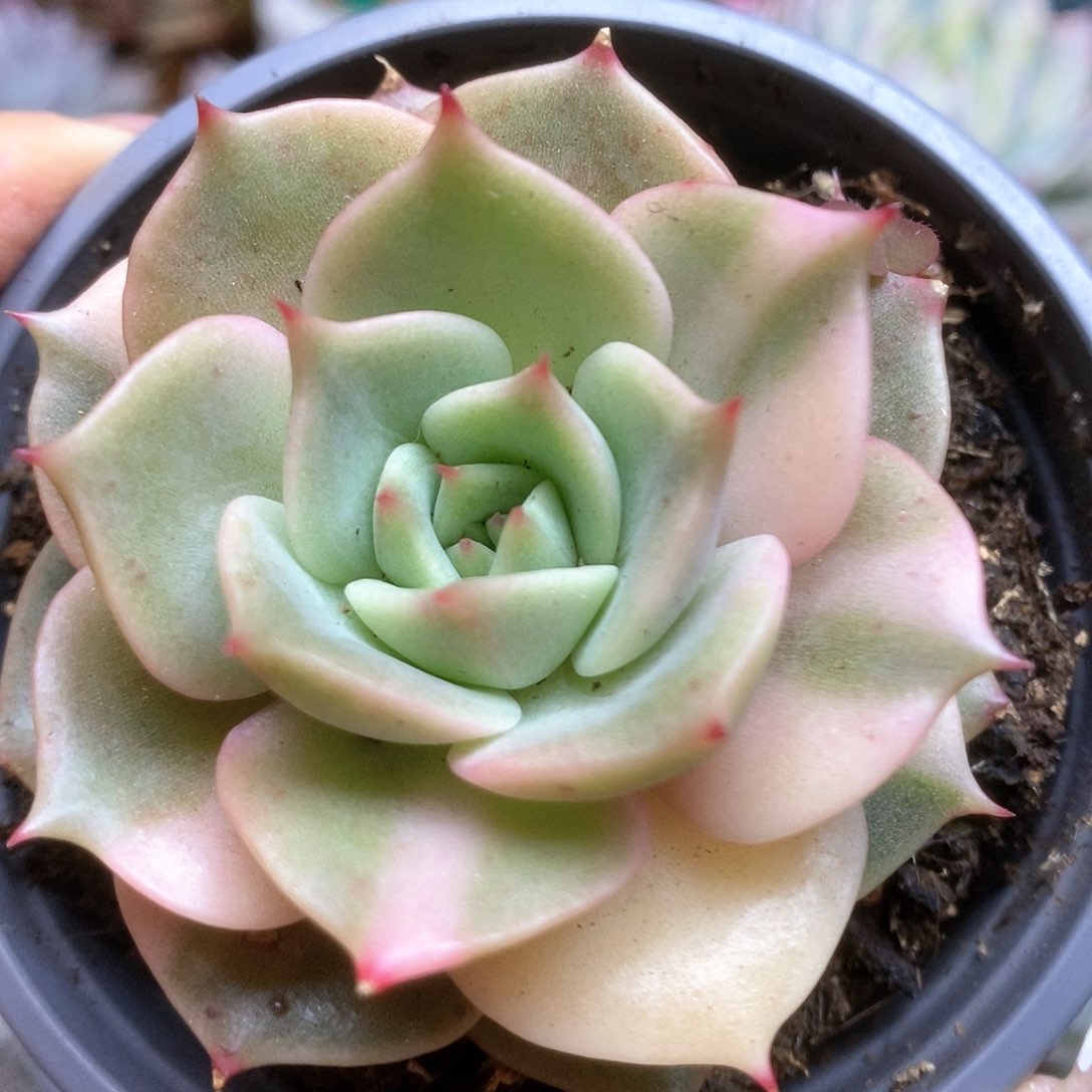 157贝加尔湖锦锦锦