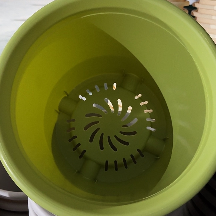 四季6号果绿无托7个特价微瑕