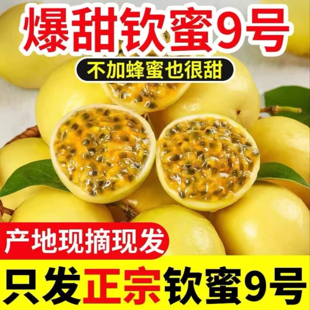 【顺丰发货】正宗钦蜜9号百香果香甜多汁新鲜现摘应季水果送开果器