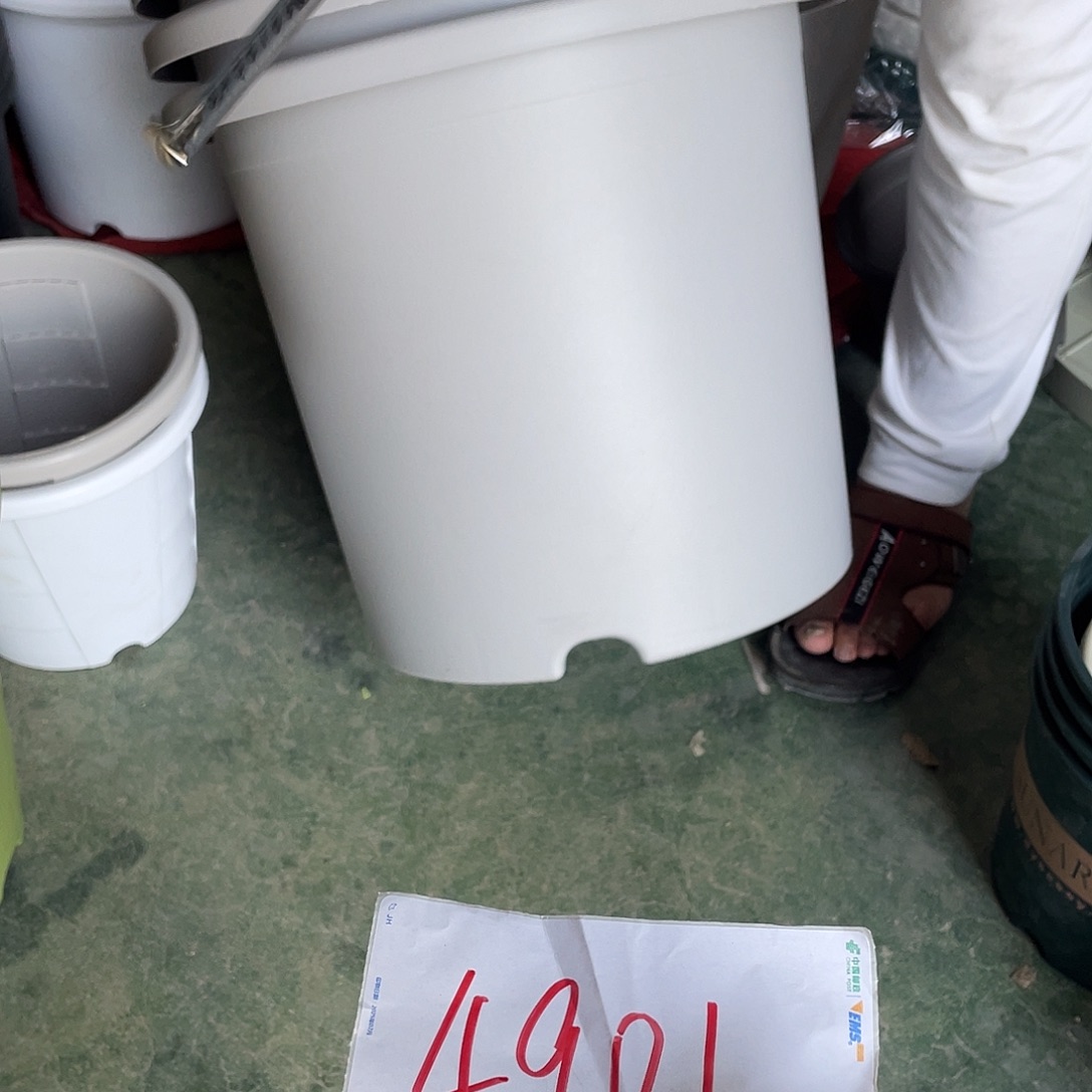 编号是4901的编号